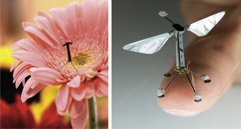 Flying drones inspired by nature
